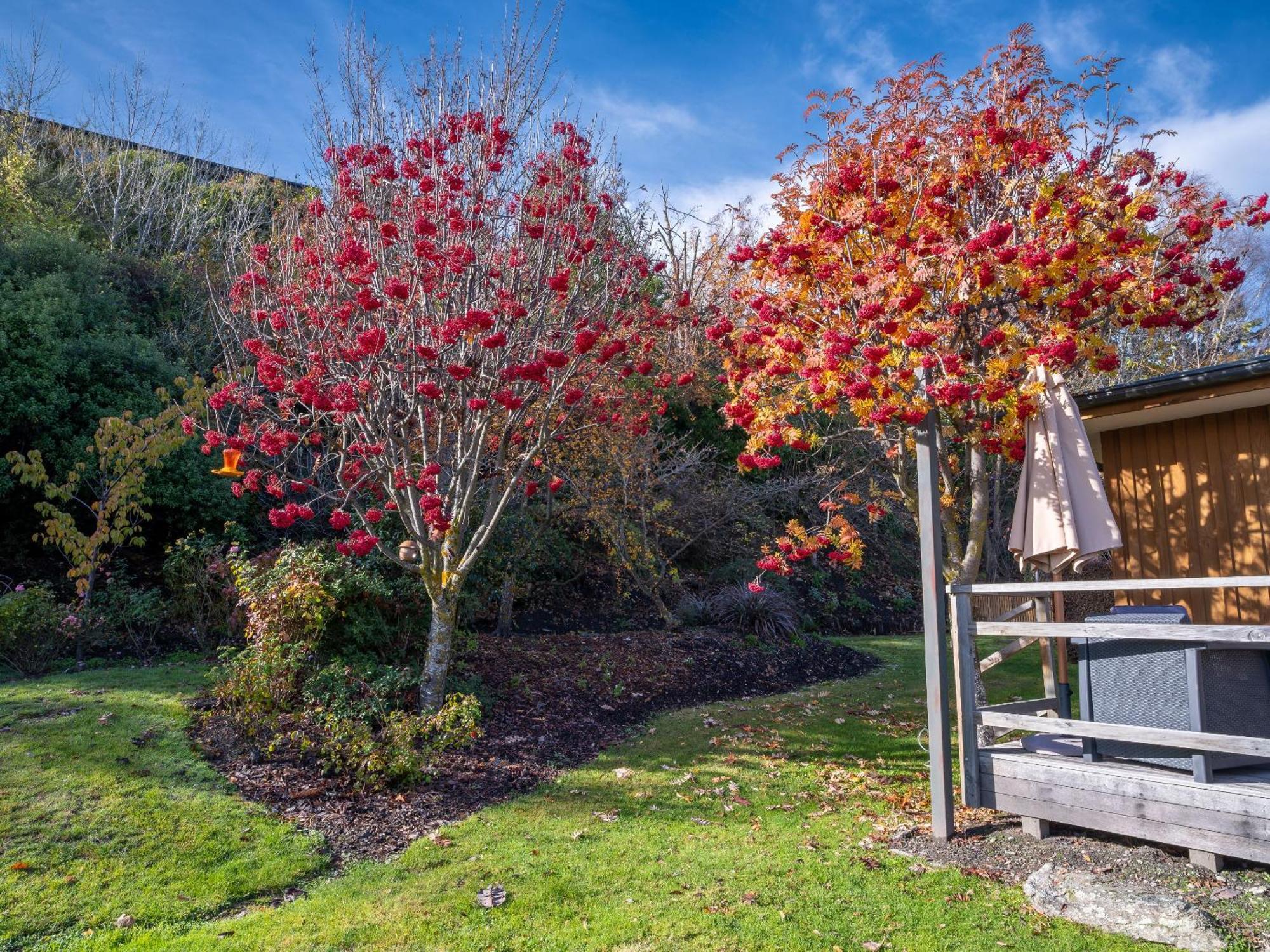 Wanaka Springs Lodge Екстериор снимка
